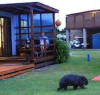 BIG4 Kelso Sands Holiday Park - Kalgoorlie Accommodation