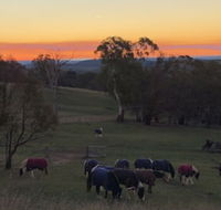 High Country Trail Rides  Farm Stay - Kalgoorlie Accommodation