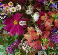 Ahvenbloem Park Winganna - Kalgoorlie Accommodation