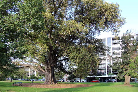 Adelaide Central Apartment - 3BR, 2Bath & Carpark - Kalgoorlie Accommodation 1