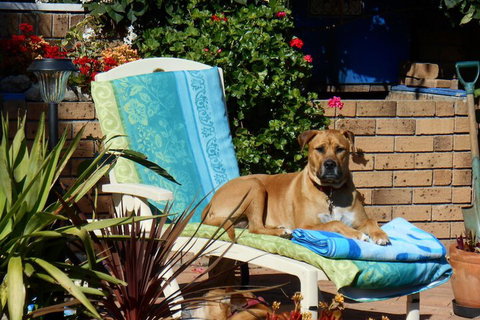 Pindari House - Kalgoorlie Accommodation 1