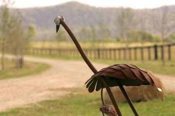 Pemberley Grange - Kalgoorlie Accommodation 0