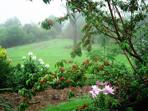 French Cottage & Loft - Kalgoorlie Accommodation 4