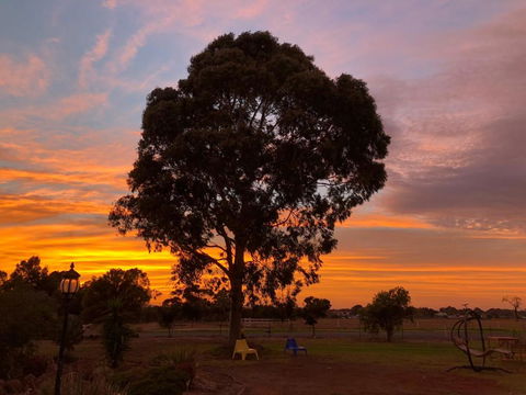 Melbourne Garden Bed & Breakfast - Kalgoorlie Accommodation 1