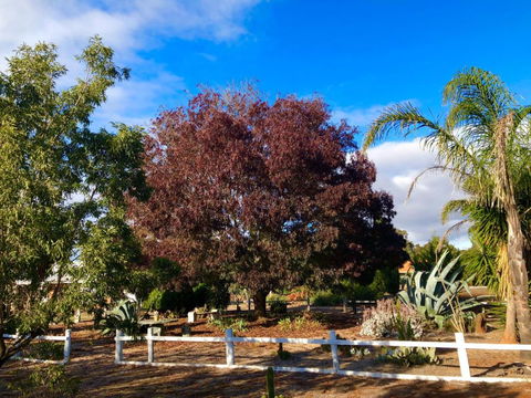 Melbourne Garden Bed & Breakfast - Kalgoorlie Accommodation 5