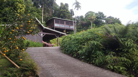 Daintree Holiday Homes La Vista - Kalgoorlie Accommodation 4