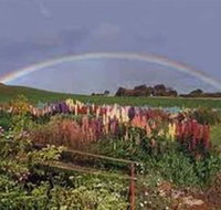 Boat Harbour Garden Cottages - Kalgoorlie Accommodation