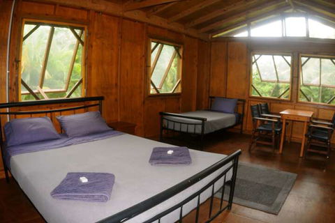 Daintree Rainforest Bungalows - Kalgoorlie Accommodation 4