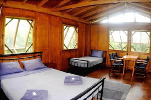 Daintree Rainforest Bungalows - Kalgoorlie Accommodation 5