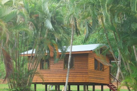 Daintree Rainforest Bungalows - Kalgoorlie Accommodation 0