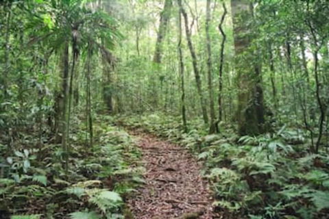 Goomburra Forest Retreat - Kalgoorlie Accommodation 5