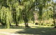 Little Lake Cottage - thumb 1
