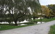 Little Lake Cottage - thumb 2