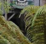 The Wombat Cottage - Kalgoorlie Accommodation