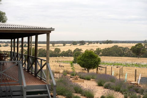 Gilgraves Vineyard Farmstay - Kalgoorlie Accommodation 2