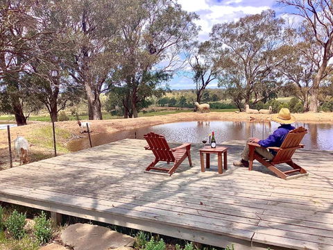 Gilgraves Vineyard Farmstay - Kalgoorlie Accommodation 6