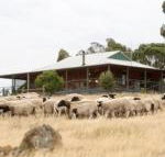 Gilgraves Vineyard Farmstay - Kalgoorlie Accommodation