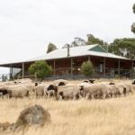 Gilgraves Vineyard Farmstay - Kalgoorlie Accommodation 0