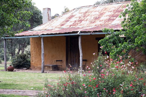 Lone Pine Farmhouse - Kalgoorlie Accommodation 2
