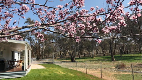 Rosewood Cottage - Kalgoorlie Accommodation 3