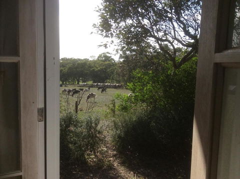 Aashay B & B - Kalgoorlie Accommodation 3