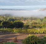 Pecan Hill BNB - Kalgoorlie Accommodation