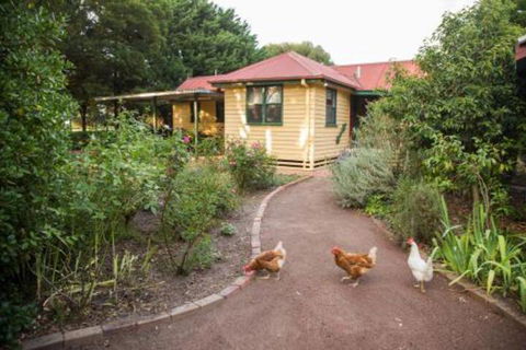 Malakai Farm Stay - Kalgoorlie Accommodation 2