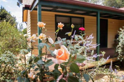 Malakai Farm Stay - Kalgoorlie Accommodation 3