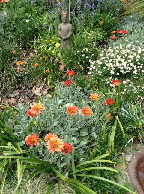 Adelaide Hills B & B Accommodation - Kalgoorlie Accommodation 2