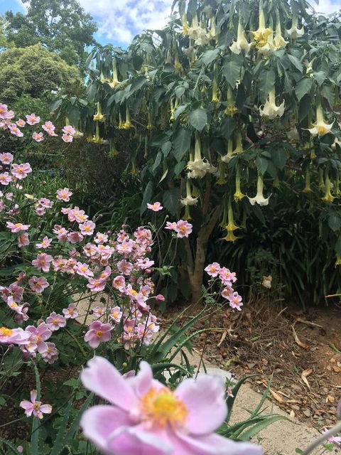 Adelaide Hills B & B Accommodation - Kalgoorlie Accommodation 6