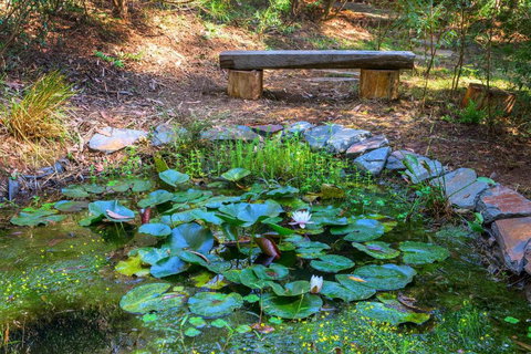 Fernview On Falls - Kalgoorlie Accommodation 6