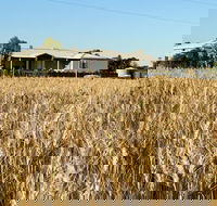 The Mains Guest House - Kalgoorlie Accommodation