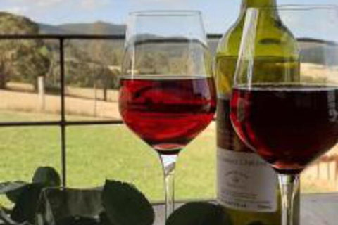 Fellcroft Farmstay - Kalgoorlie Accommodation 2