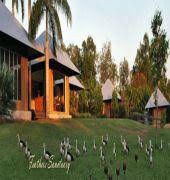 Feathers Sanctuary - Kalgoorlie Accommodation 6
