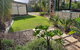 The Palms - thumb 1