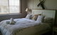 Wyreepi River Cottage - thumb 4