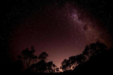 Fork N Farm Artisan Homestead - Kalgoorlie Accommodation 3