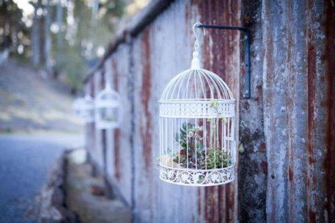 Fork N Farm Artisan Homestead - Kalgoorlie Accommodation 4