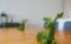 Harbour View Apartment At Barangaroo Sydney - thumb 5