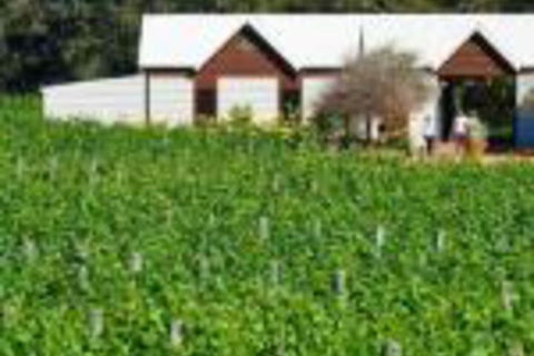 Upper Reach Spa Cottage - Kalgoorlie Accommodation 0