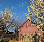 Magenta Cottage - Kalgoorlie Accommodation