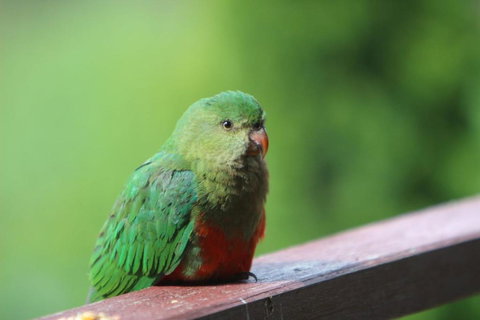 BROWNS COTTAGE - Kalgoorlie Accommodation 2