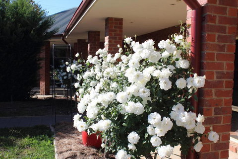 Gundaroo Manor Bed & Breakfast - Kalgoorlie Accommodation 1