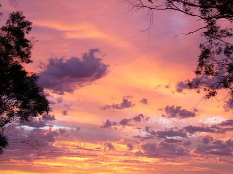 Sunset View Bb Forbes Nsw - Kalgoorlie Accommodation 0