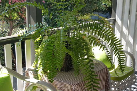 Elindale House Bed & Breakfast - Kalgoorlie Accommodation 4