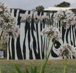Zebras Guest House - Kalgoorlie Accommodation
