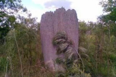 Chalets On Woodlands - Kalgoorlie Accommodation 3