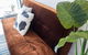 Olympus Wolli Crk 5.12 - thumb 5