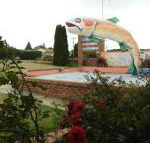 Big Trout Motel - Kalgoorlie Accommodation