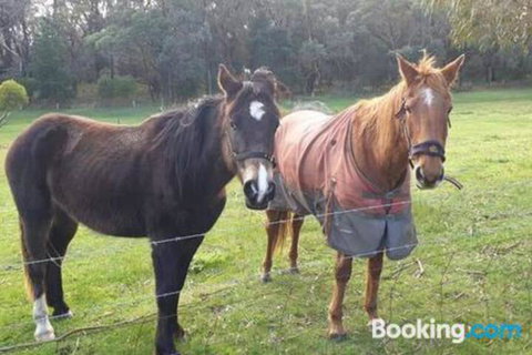 Heritage Bed & Breakfast - Kalgoorlie Accommodation 3
